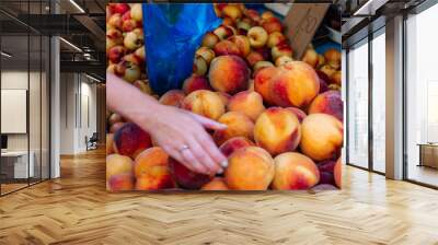 fresh peaches in the hand on the farmers market. Wall mural