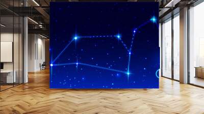 Constellation leo zodiac sign in night starry sky Wall mural