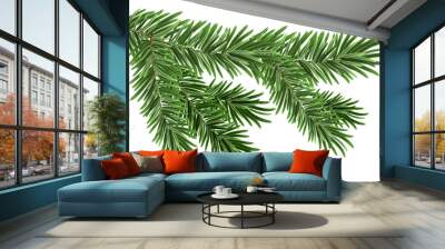 Green lush spruce branch. Fir branches Wall mural