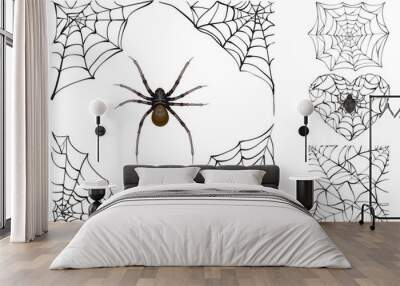 Web and poisonous spider. Set Halloween accessory Wall mural