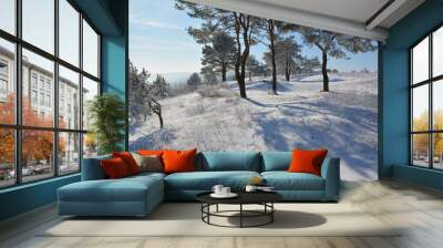 Winter landscape with snow and trees Wall mural