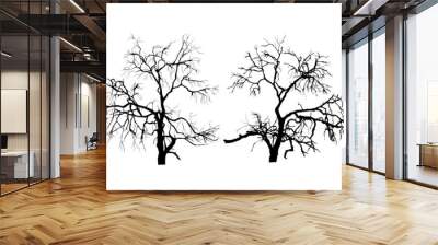 Two dead trees without leaves Wall mural