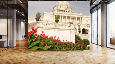 United States Capitol Building - Washington D.C. United States of America Wall mural