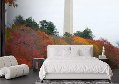 Washington D.C. in fall season * Washington Monument as seen from the tidal basin Wall mural