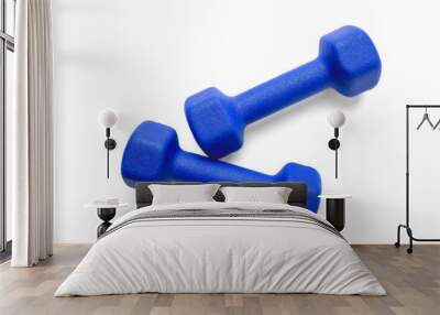 Blue dumbbells isolated on white background with clipping-path Wall mural