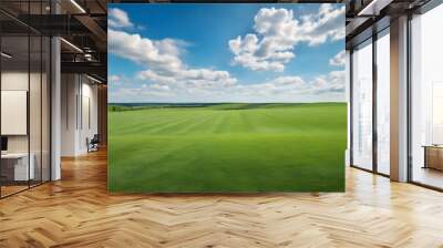 Beautiful natural scenic panorama green field of cut grass into and blue sky with clouds on horizon. Perfect green lawn on summer sunny day. Wall mural