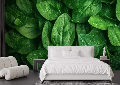 Close-up texture of fresh leafy plant Wall mural