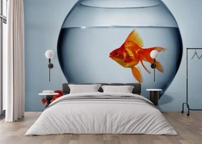 Goldfish outside of water Wall mural