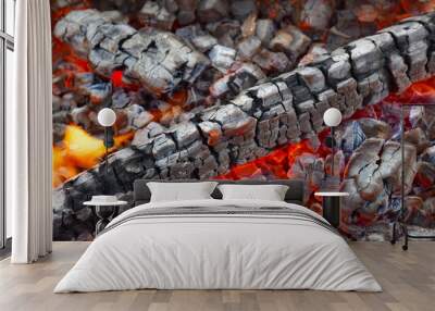 burning hot coals, wood Wall mural