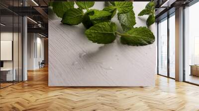 fresh mint leaves peppermint spice leaf plant antioxidant vegan business photo health herb food art Wall mural