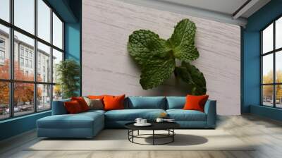 fresh mint leaves peppermint spice leaf plant antioxidant vegan business photo health herb food art Wall mural