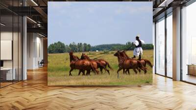 horse riding Wall mural