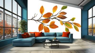 Autumn twig with colorful leaves in a seasonal arrangement isolated on white or transparent background Wall mural