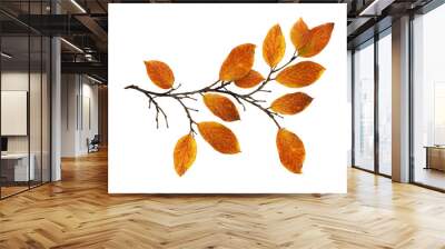 Autumn twig with colorful leaves isolated on white or transparent background Wall mural