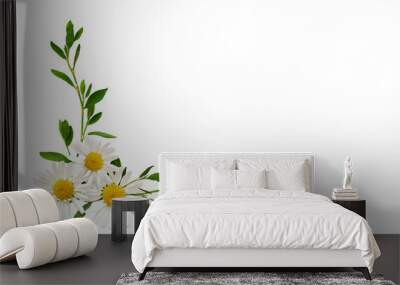 Daisy flowers and green grass in a floral corner arrangement isolated on white or transparent background Wall mural