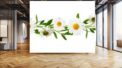 Floral garland with twigs of green grass with daisy flowers isolated on white or transparent background Wall mural