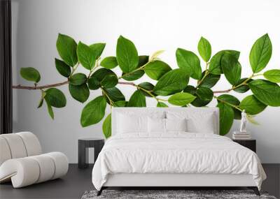 Fresh branch with green leaves Wall mural