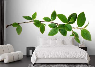 fresh green leaves branch Wall mural