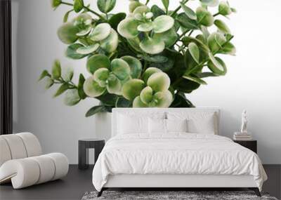 Green and white artificial plant with small leaves in a plastic pot isolated on white or transparent background Wall mural