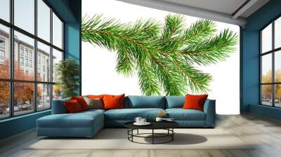 Green Christmas pine twig Wall mural