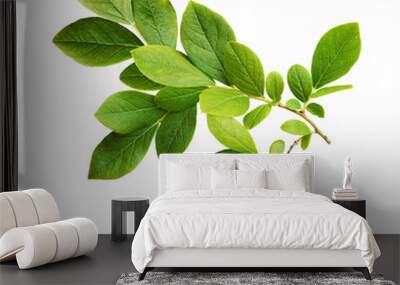 Green leaves of blueberry Wall mural