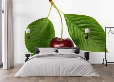 Red weet cherry with green leaves Wall mural