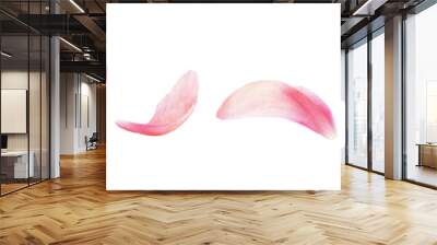 Set of pink peony petals Wall mural