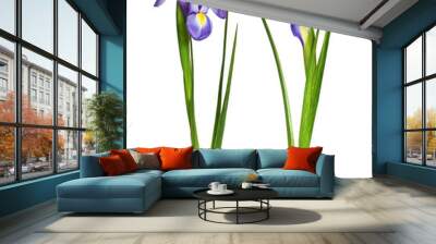 Set of purple iris flower and bud Wall mural