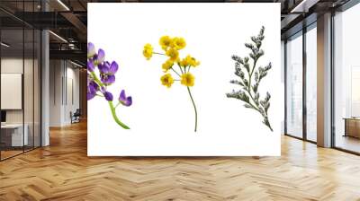 Set of small flowers of berberis, spirea, limonium, lupine and gypsophila isolated on white or transparent background Wall mural