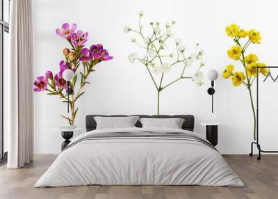 Set of small sprigs of yellow flowers of berberis thunbergii, pink chamelaucium and white gypsophila isolated Wall mural