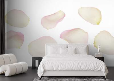 Set of white and pink rose petals Wall mural