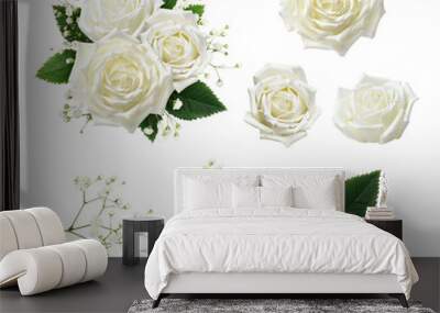 Set of white rose flowers, leaves and gypsophila with example of floral arrangement isolated Wall mural