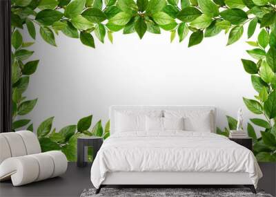 Twigs with fresh green leaves in a frame Wall mural