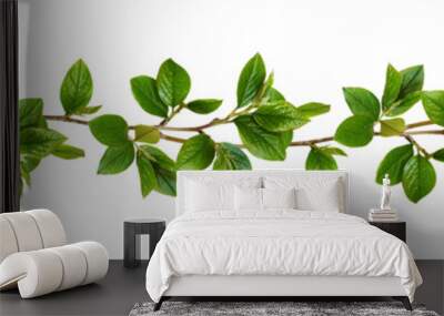 Twigs with green leaves in a floral waved garland isolated on white or transparent background Wall mural