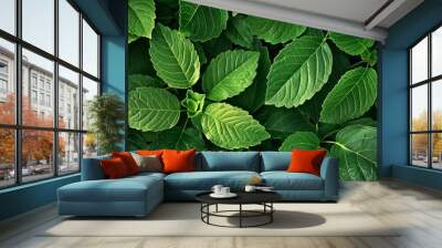 Close-up of green leaves offers a fresh leaf pattern overlay, creating a natural foliage texture and background Wall mural