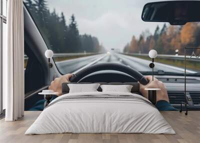 The point-of-view perspective from a driving car on a highway captures the sense of motion and travel Wall mural