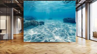 The tropical blue ocean of Hawaii is showcased with white sand and underwater stones, creating a serene ocean background Wall mural