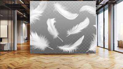 Vector white feathers collection, set of different falling fluffy twirled feathers, isolated on transparent background. Realistic style, vector 3d illustration Wall mural