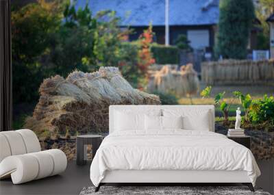 Bundles of harvest rice stalk dry next to rural Japanese field after fall harvest Wall mural