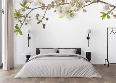 almond flower at the top in back ground white with copy space for text Wall mural