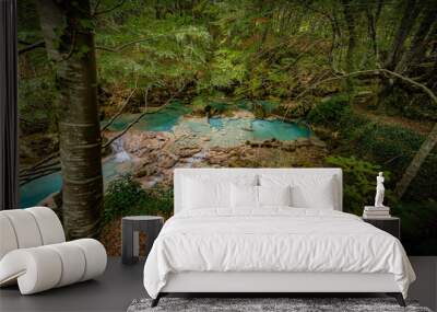 Blue water in the forest Wall mural