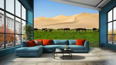 Horses in the Khongor Sand Dunes in the Gobi Desert in Mongolia. Wall mural