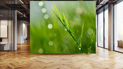 grass, and bokeh Wall mural