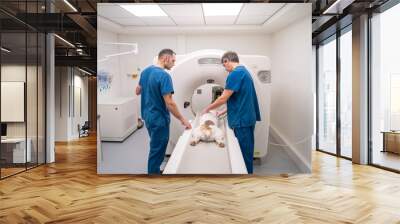 Two veterinarians in blue scrubs collaborate to operate a CT scanner, carefully positioning a small dog for an imaging procedure. The modern clinic is equipped with the latest technology. Wall mural