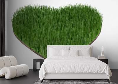 Green lawn heart shape on white background,environmental conservation,3d rendering Wall mural