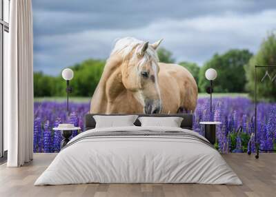 portait of a palomino horse among lupine flowers. Wall mural