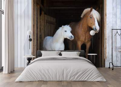 two horses in a stable. Wall mural