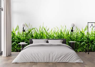 transparent fresh spring green grass Wall mural