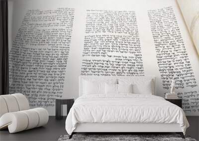 writing torah scroll  sefer torah a torah mitzvah silver crowns ornaments jewish hebrew Wall mural