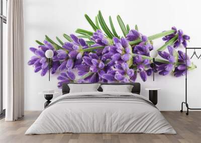 Lavender flowers isolated on white background     Wall mural